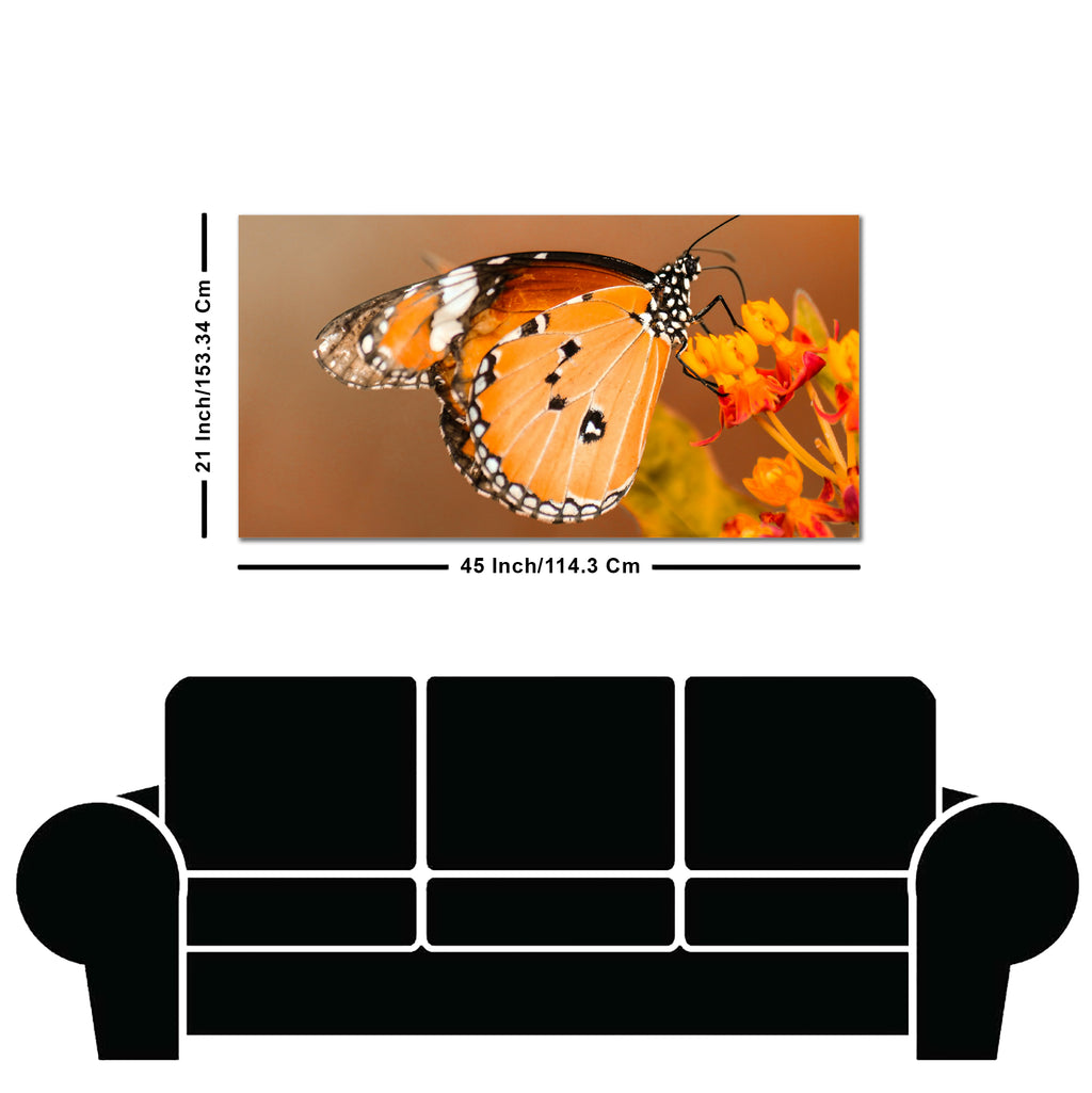 Premium Canvas Wall Painting of Beautiful Butterfly on Flower