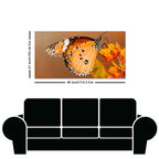 Premium Canvas Wall Painting of Beautiful Butterfly on Flower