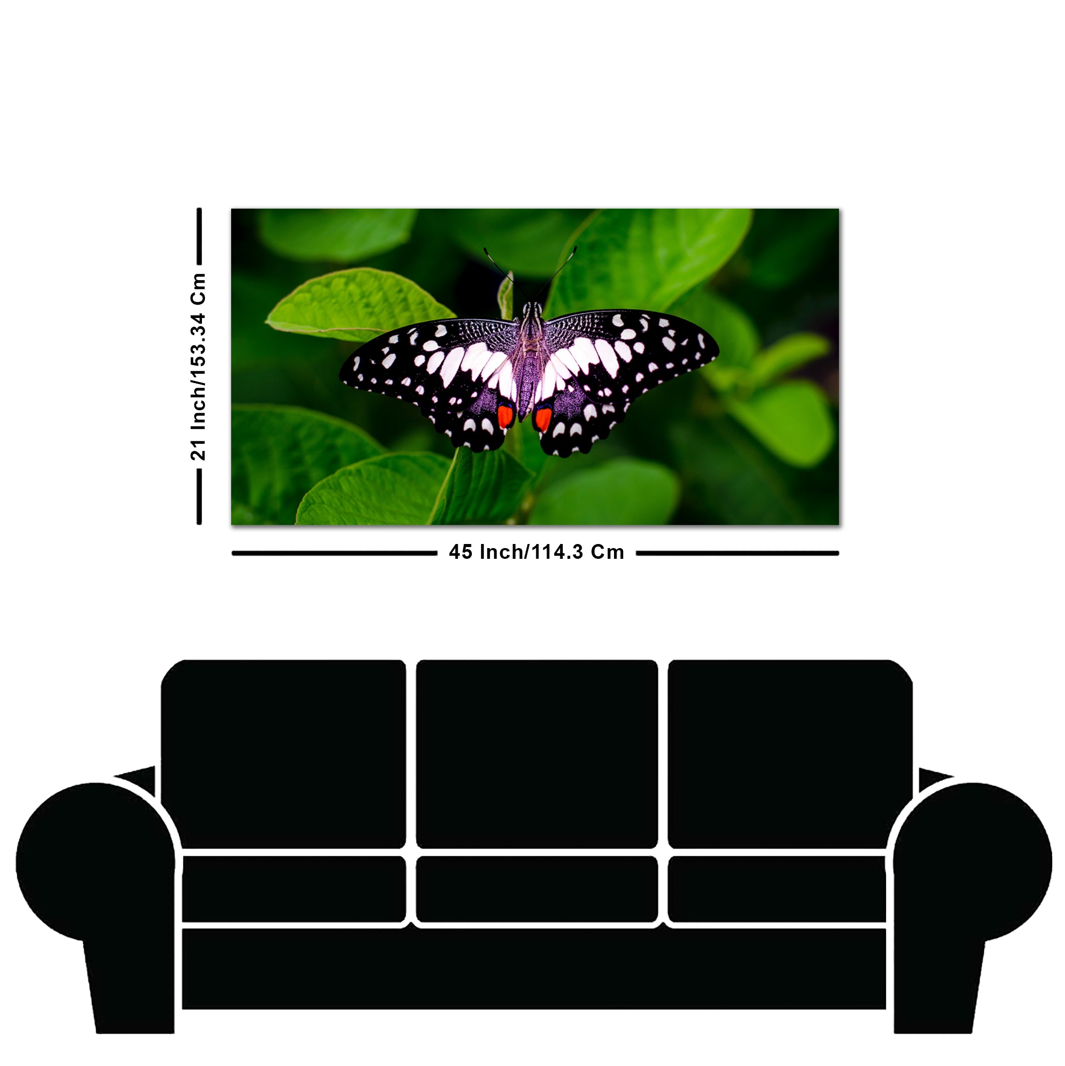 A Beautiful Butterfly on Leaf Premium Canvas Wall Painting