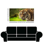 Tiger in Forest Premium Wall Painting