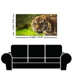 Tiger in Forest Premium Wall Painting