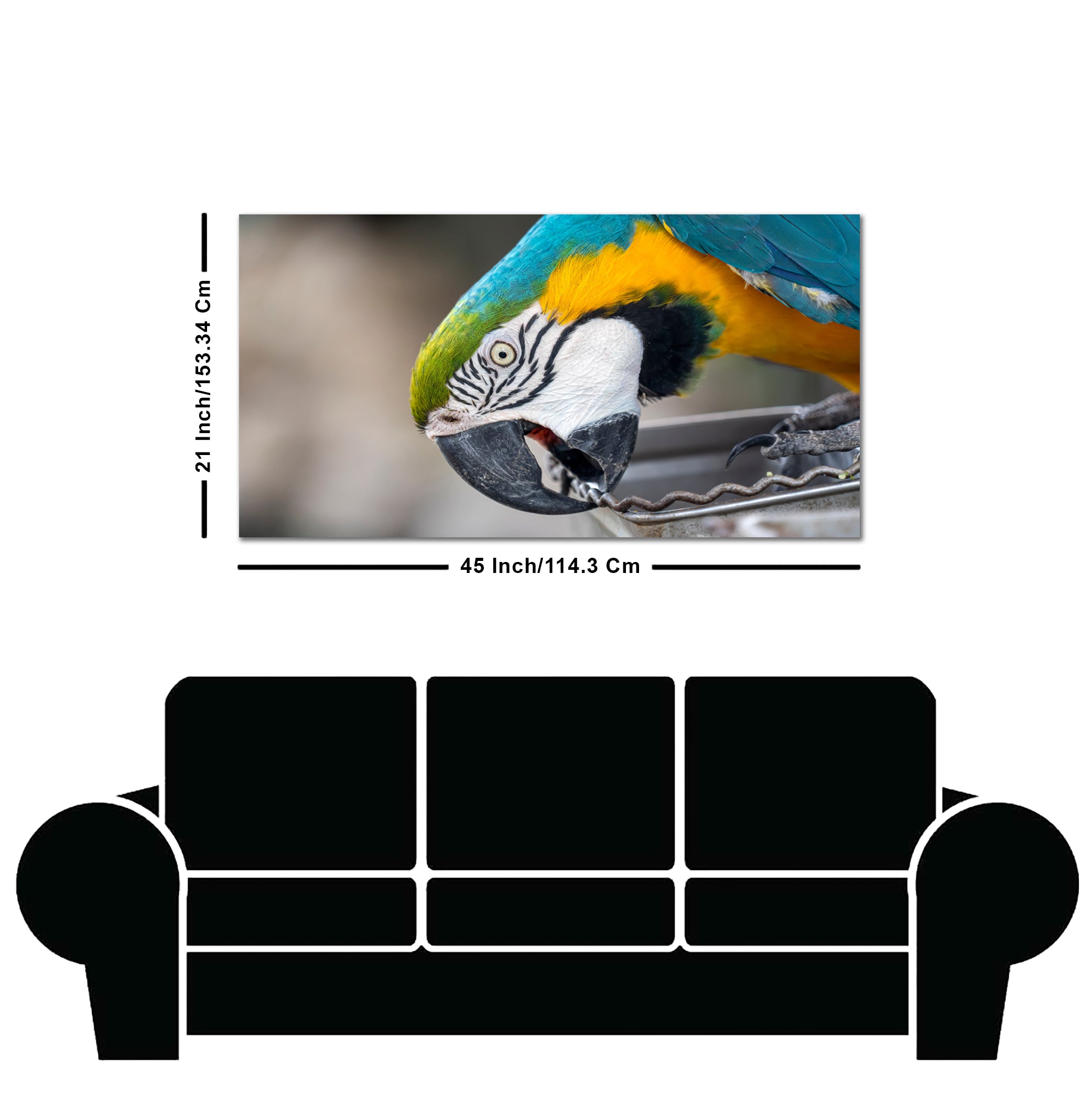 Beautiful Macaw Parrot Canvas Wall Painting