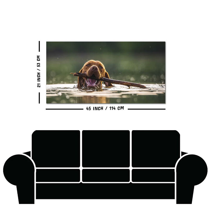 Premium Wall Painting of Dog Swimming