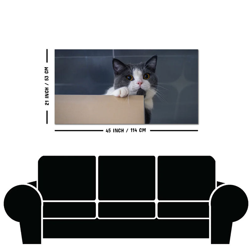 Beautiful Wall Painting of Cat Peeping Over Ledge