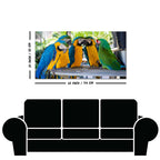 Colorful Mascaw Parrots Canvas Wall Painting