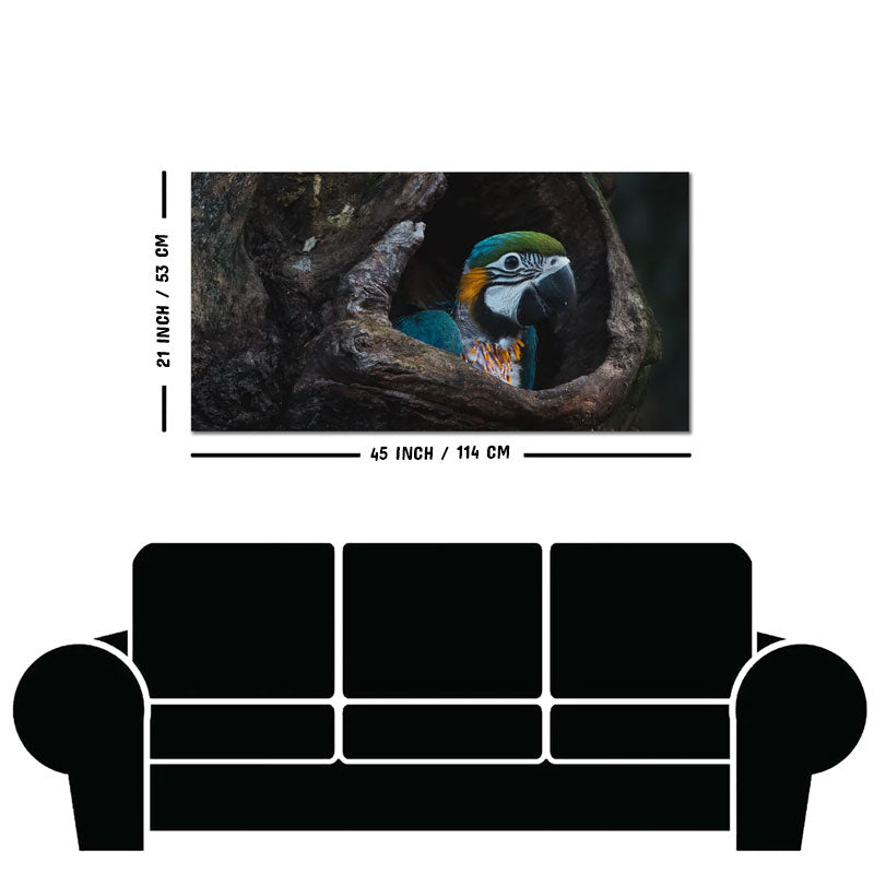 Canvas Wall Painting of Mascaw Parrot in Tree Hole