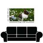 Cute Little White & Brown Bunny Premium Wall Painting