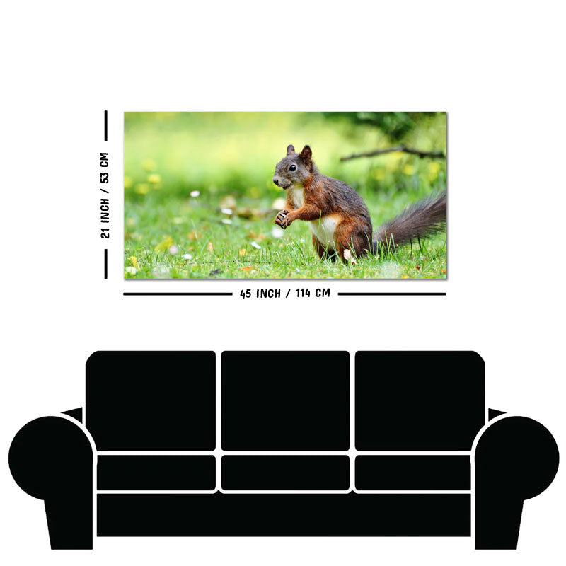 Little Squirrel in the Park Premium Wall Painting