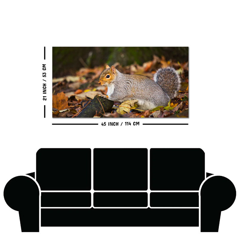 Canvas Wall Painting Squirrel in The Forest