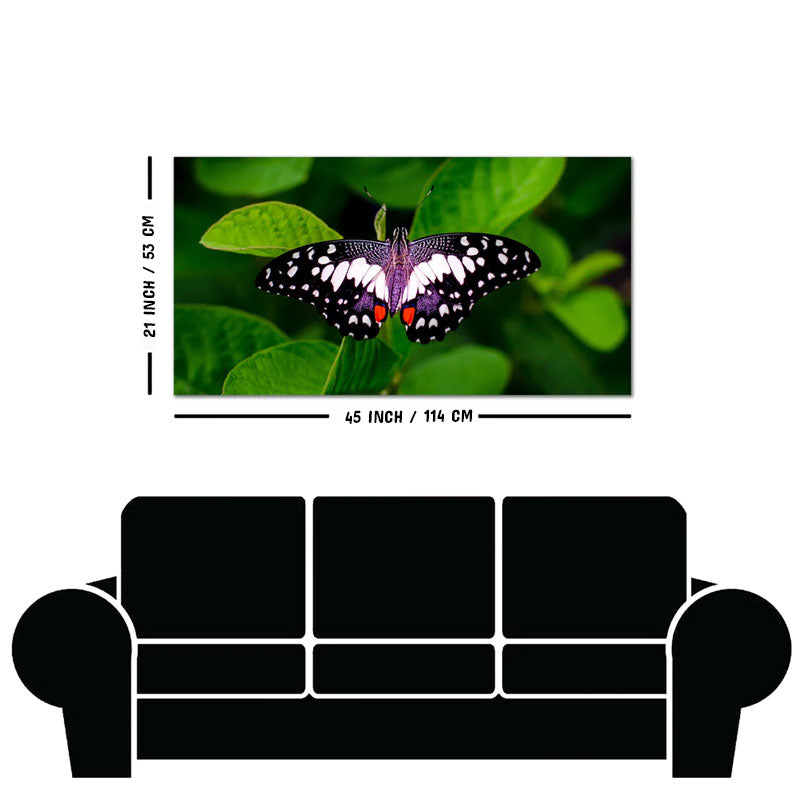 A Beautiful Butterfly on Leaf Premium Canvas Wall Painting