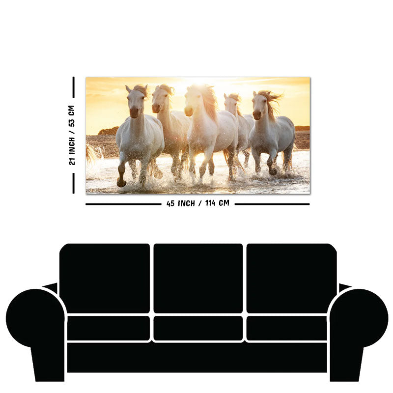 Camargue White Horses Running in Seaside Premium Wall Painting