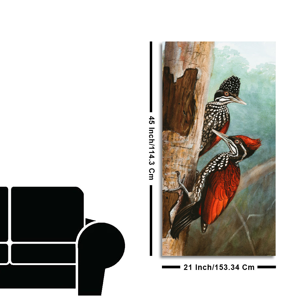 Ivory Billed Woodpecker Canvas Wall Painting For Hall