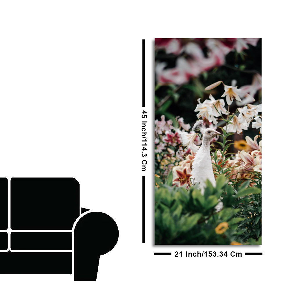 White Peacock Canvas Wall Painting