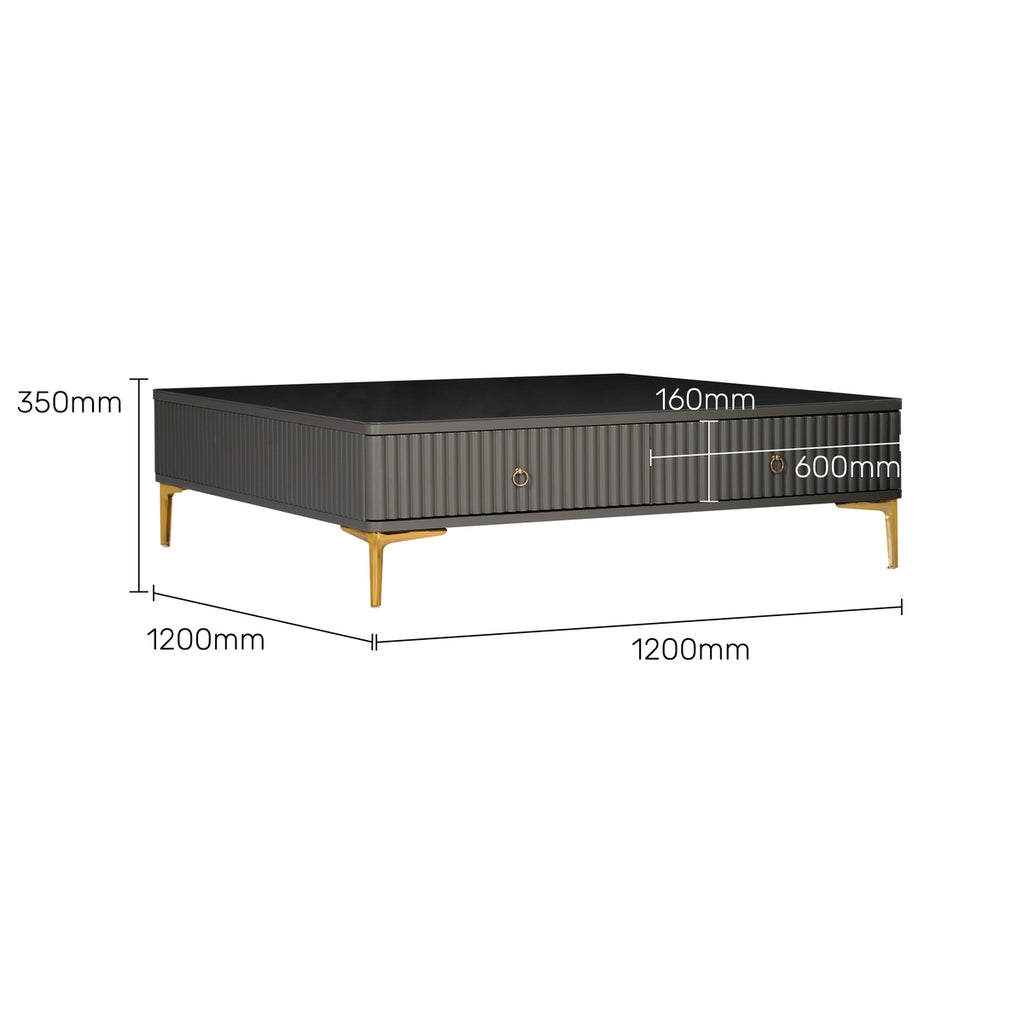 Designer Charcoal Grey Center Table with Textured Front and Sleek Gold Accents