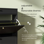 Modern Black Shoe Storage Cabinet with Doors, Stylish Entryway Shoe Organizer