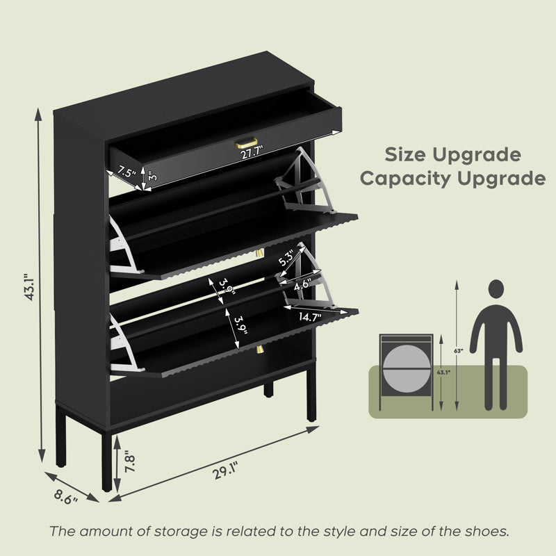Modern Black Shoe Storage Cabinet with Doors, Stylish Entryway Shoe Organizer