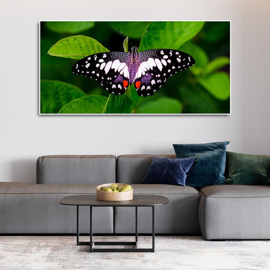 A Beautiful Butterfly on Leaf Premium Canvas Wall Painting - Decor Smart