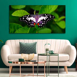 A Beautiful Butterfly on Leaf Premium Canvas Wall Painting - Decor Smart