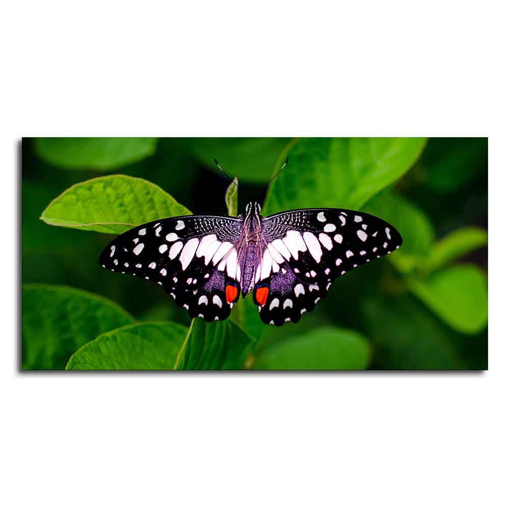 A Beautiful Butterfly on Leaf Premium Canvas Wall Painting - Decor Smart