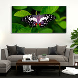 A Beautiful Butterfly on Leaf Premium Canvas Wall Painting - Decor Smart