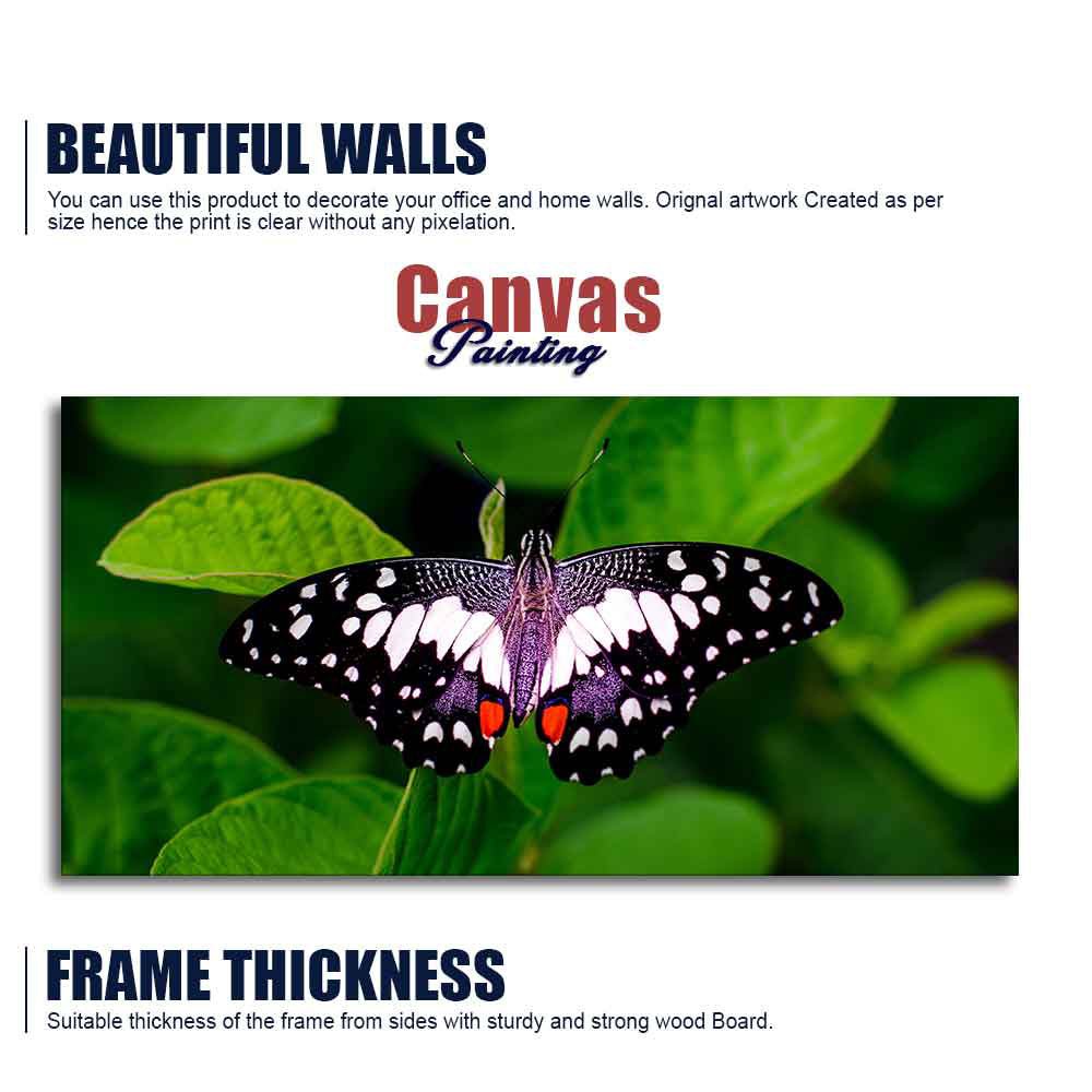 A Beautiful Butterfly on Leaf Premium Canvas Wall Painting - Decor Smart