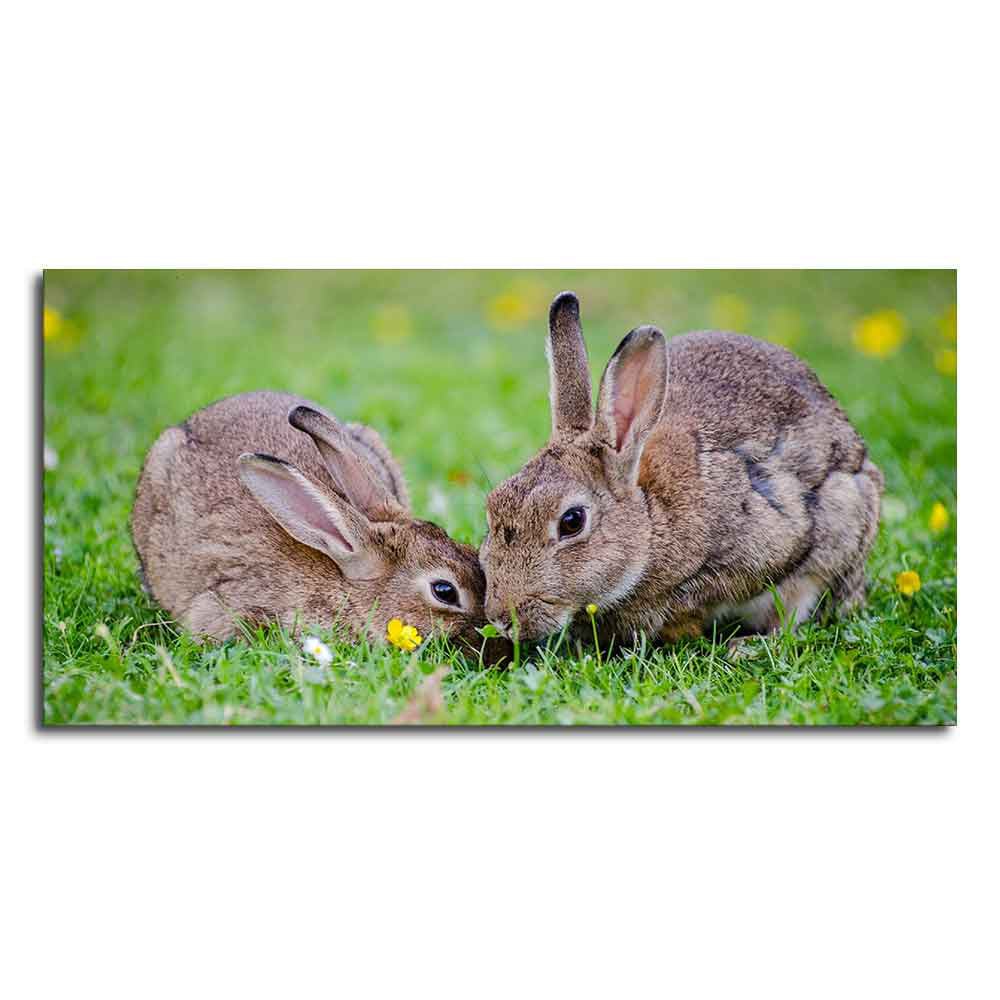 Baby Bunnies in Garden – Cute Canvas Wall Painting - Decor Smart