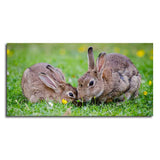 Baby Bunnies in Garden – Cute Canvas Wall Painting - Decor Smart