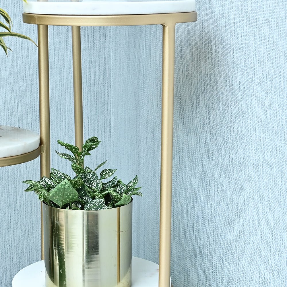 Beautiful Premium Looking Sturdy Metal Planter Stand With White Round Marble At Top - 4 Tier - Decor Smart