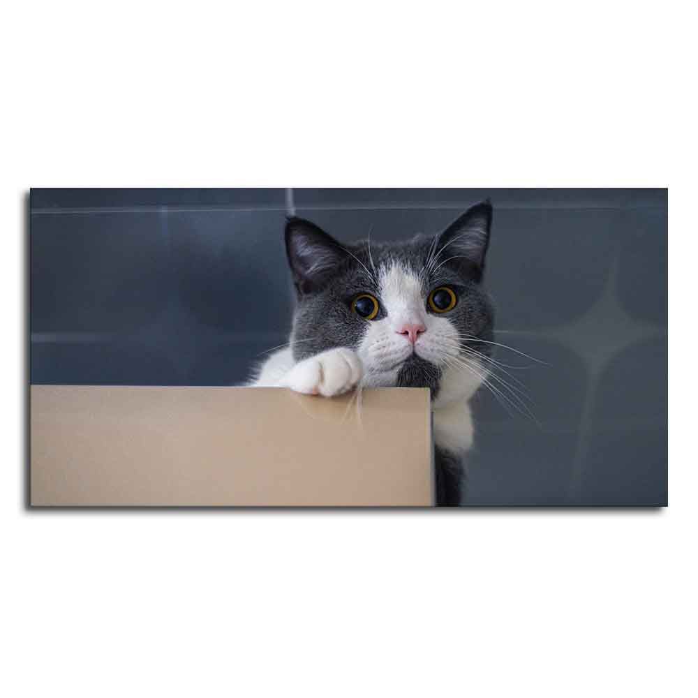Cat Peeping Over Ledge Wall Painting – Cute Cat Canvas- Decor Smart