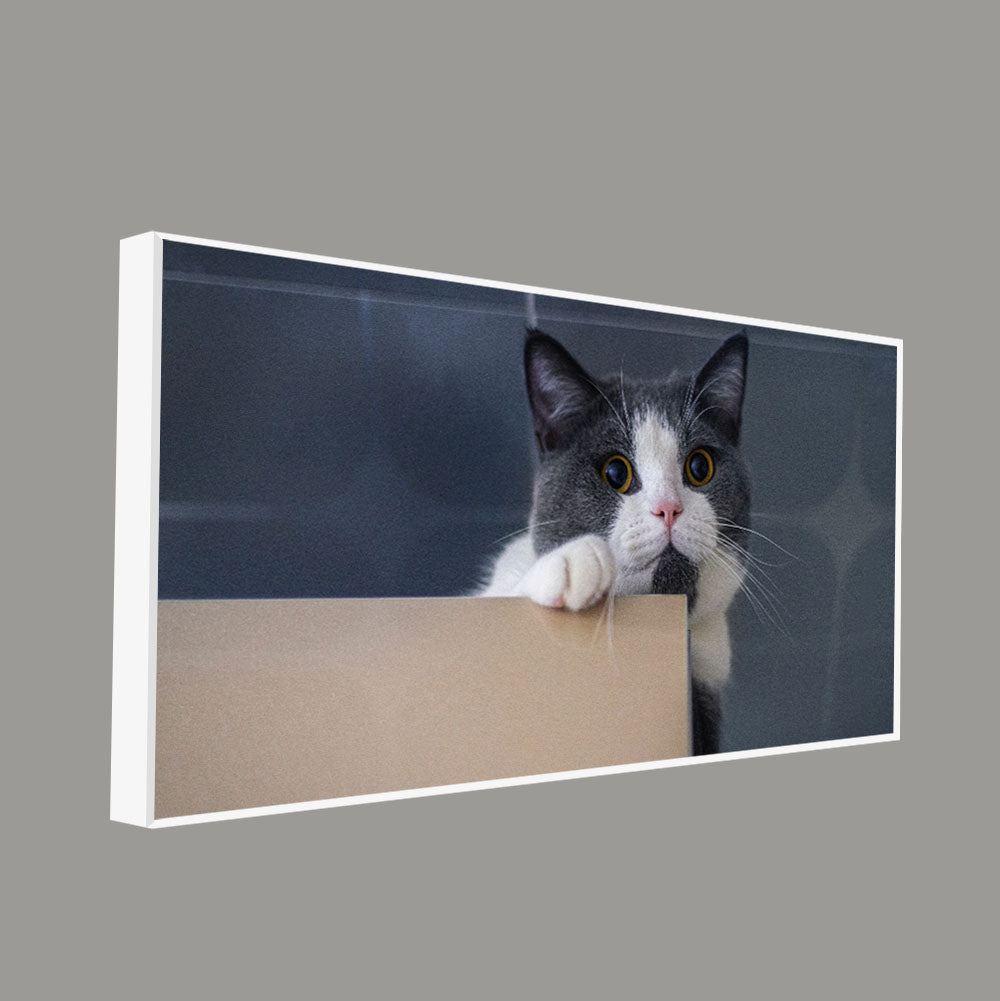 Cat Peeping Over Ledge Wall Painting – Cute Cat Canvas- Decor Smart