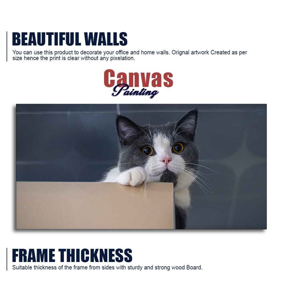 Cat Peeping Over Ledge Wall Painting – Cute Cat Canvas- Decor Smart