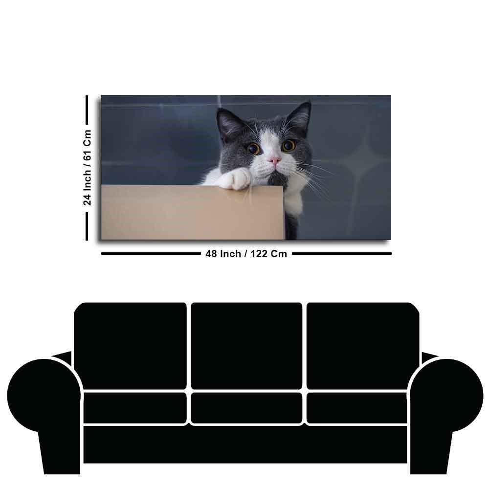 Cat Peeping Over Ledge Wall Painting – Cute Cat Canvas- Decor Smart