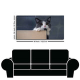 Cat Peeping Over Ledge Wall Painting – Cute Cat Canvas- Decor Smart