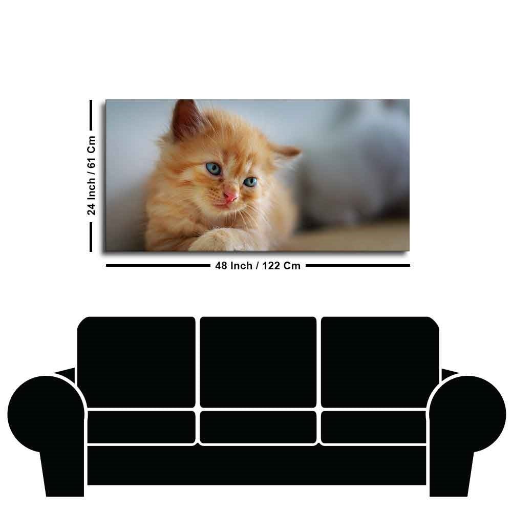 Beautiful Wall Painting of Cute Kitten - Decor Smart