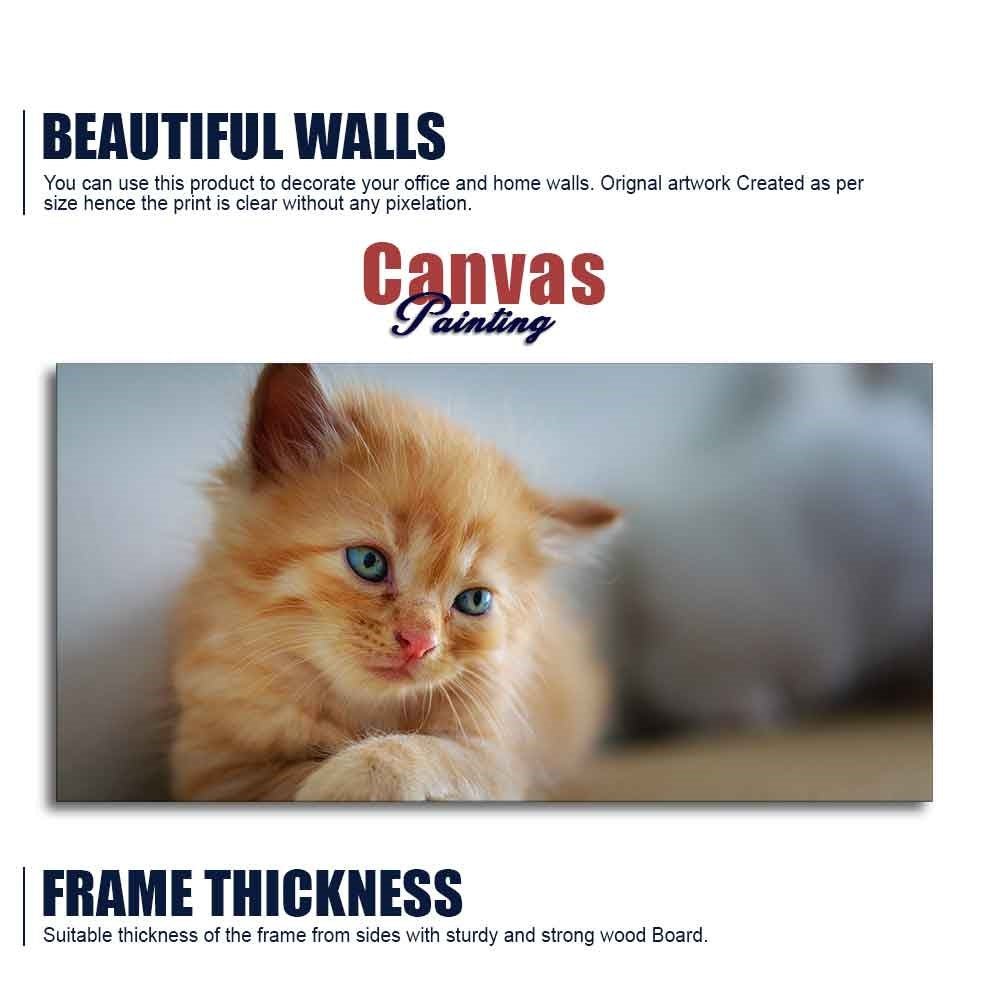 Beautiful Wall Painting of Cute Kitten - Decor Smart