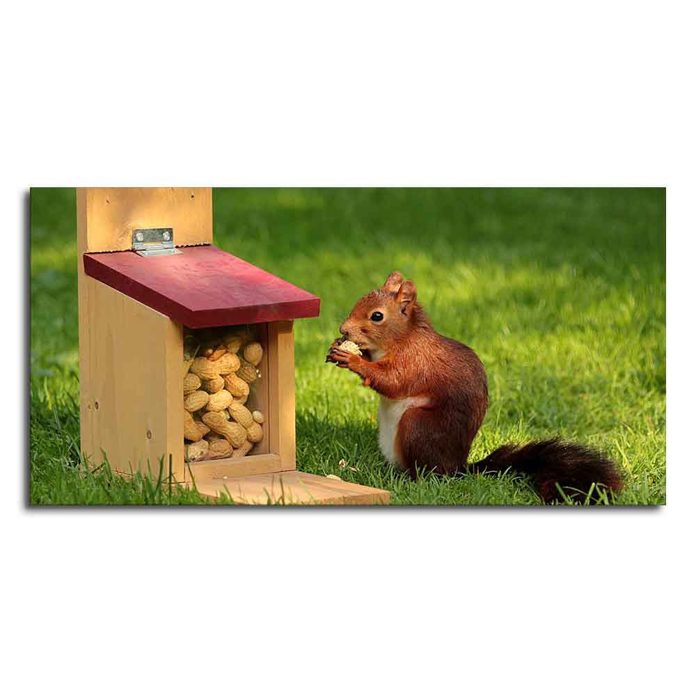 Beautiful Wall Painting of Squirrel Eating Food - Decor Smart