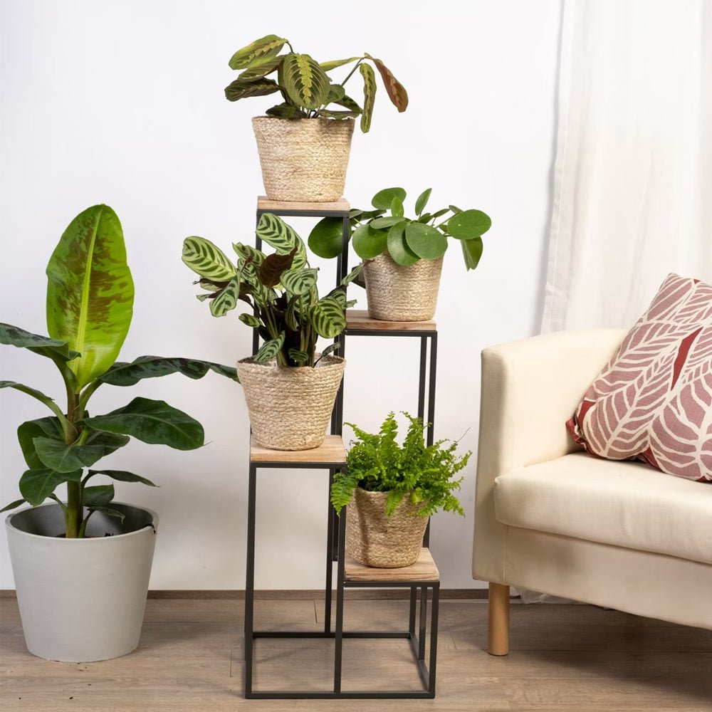 Black Metal Planter Stand with Premium Brown Wooden Shelves - 4 Tier - Decor Smart