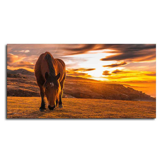 Brown Horse Eating At Sunset Premium Wall Painting - Decor Smart