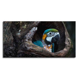 Macaw Parrot in Tree Hole – Canvas Wall Painting - Decor Smart