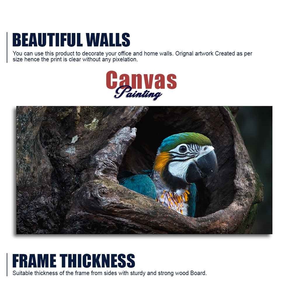 Macaw Parrot in Tree Hole – Canvas Wall Painting - Decor Smart