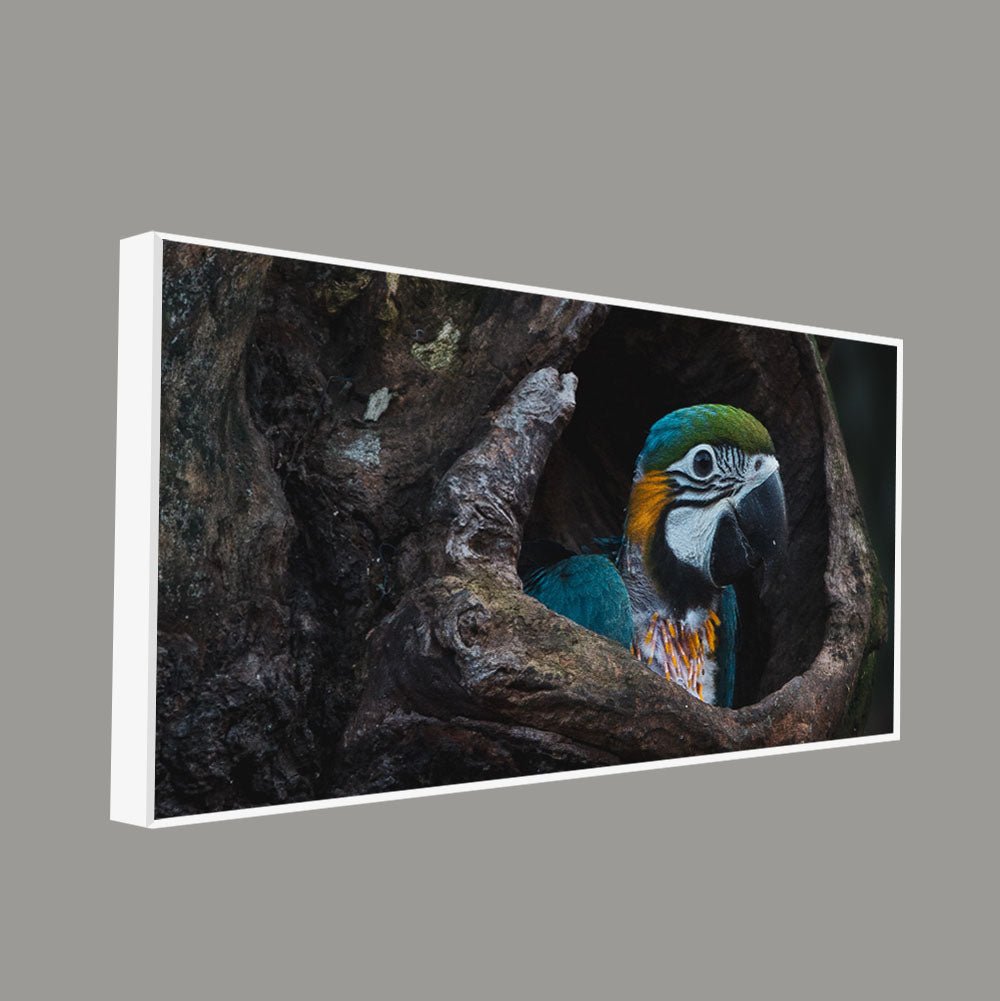 Macaw Parrot in Tree Hole – Canvas Wall Painting - Decor Smart