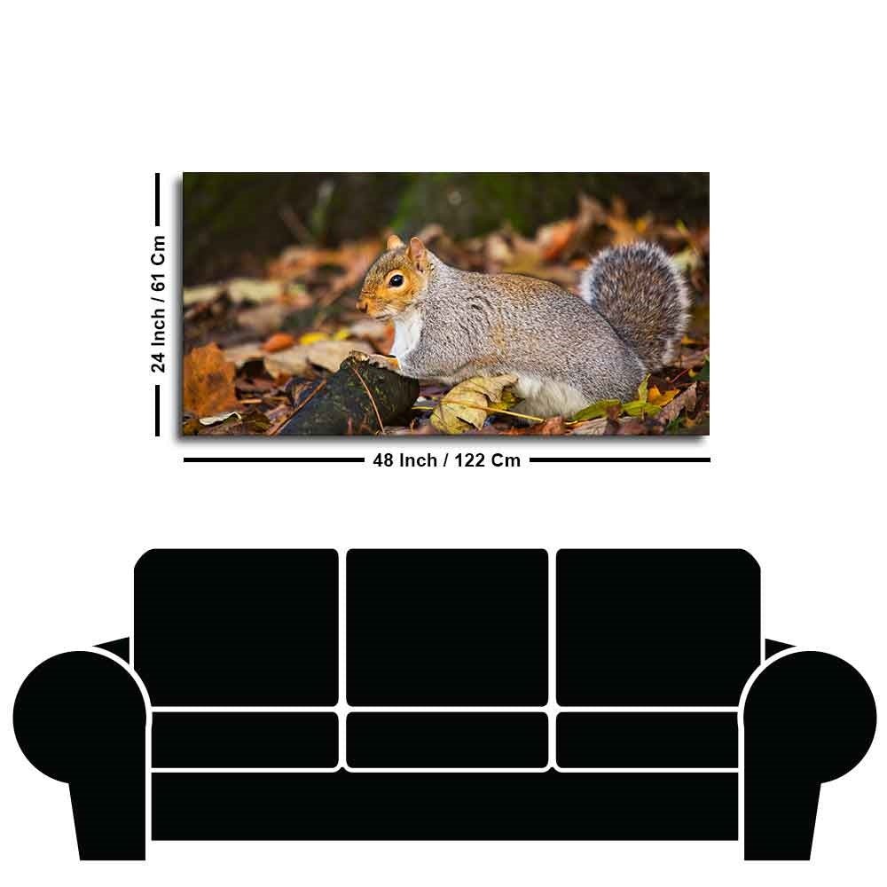 Canvas Wall Painting Squirrel in The Forest - Decor Smart