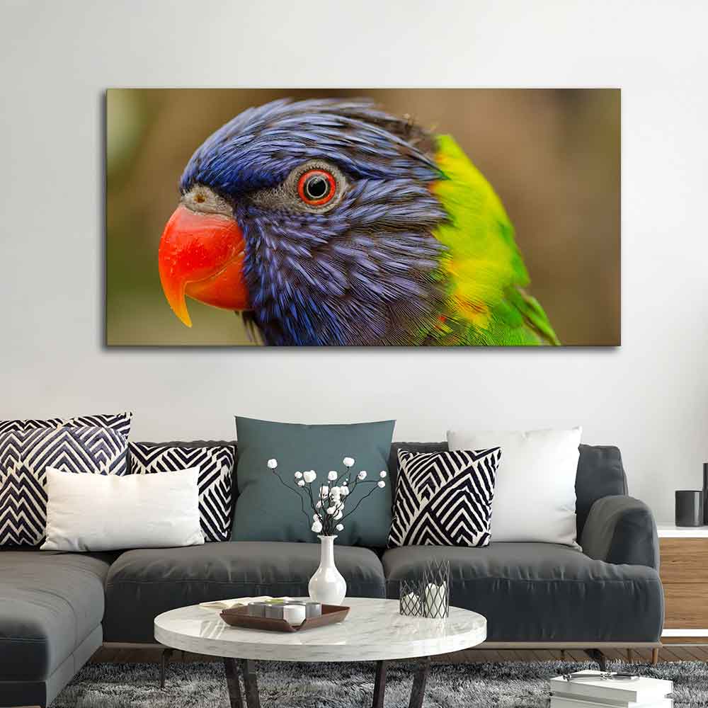 Colorful Parrot Premium Wall Painting