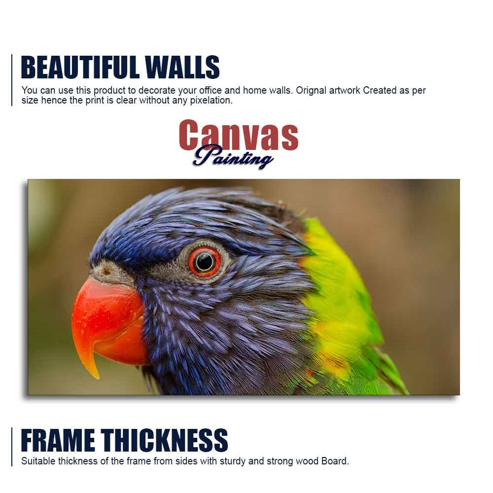 Colorful Parrot Premium Wall Painting