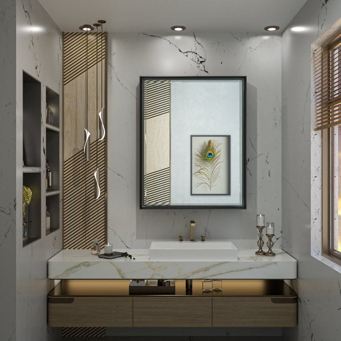 Cyrille Modern Recessed or Surface Mount Mirror Cabinet