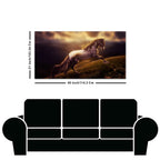 White Horse with Golden Hair Premium Canvas Panoramic Wall Hanging