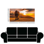 Brown Horse Eating At Sunset Premium Wall Painting
