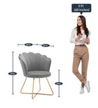 Velvet Premium Accent Chair