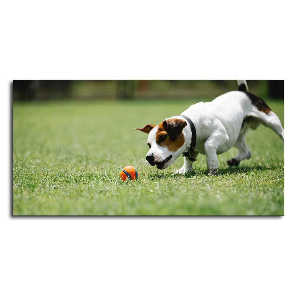 Dog Playing Canvas Wall Painting - Decor Smart