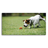 Dog Playing Canvas Wall Painting - Decor Smart